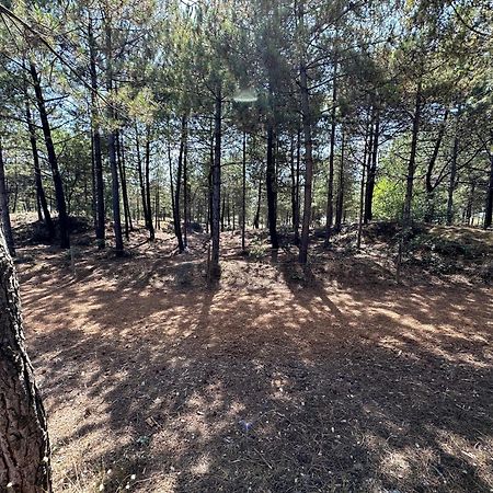 Appartement au bord de mer Saint-Brévin-les-Pins Eksteriør bilde