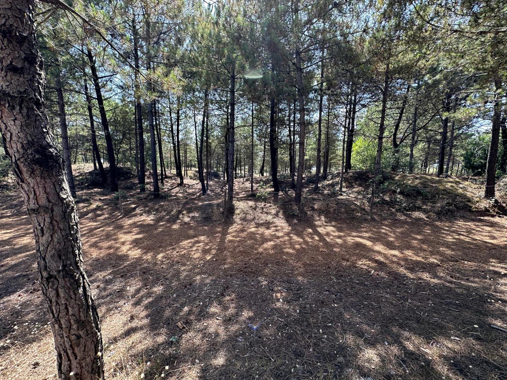 Appartement au bord de mer Saint-Brévin-les-Pins Eksteriør bilde